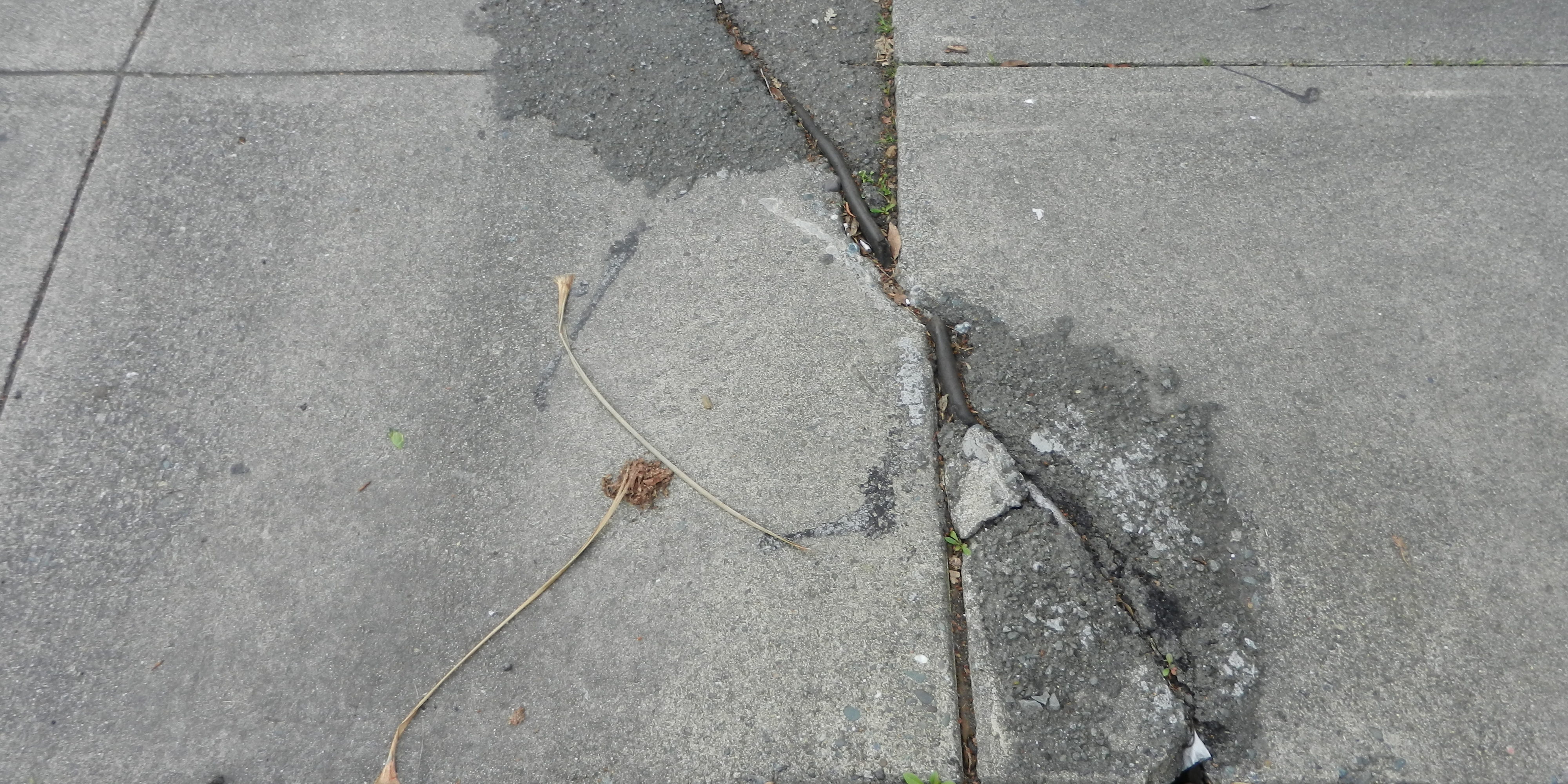 Downtown Santa Rosa Sidewalk Repairs
