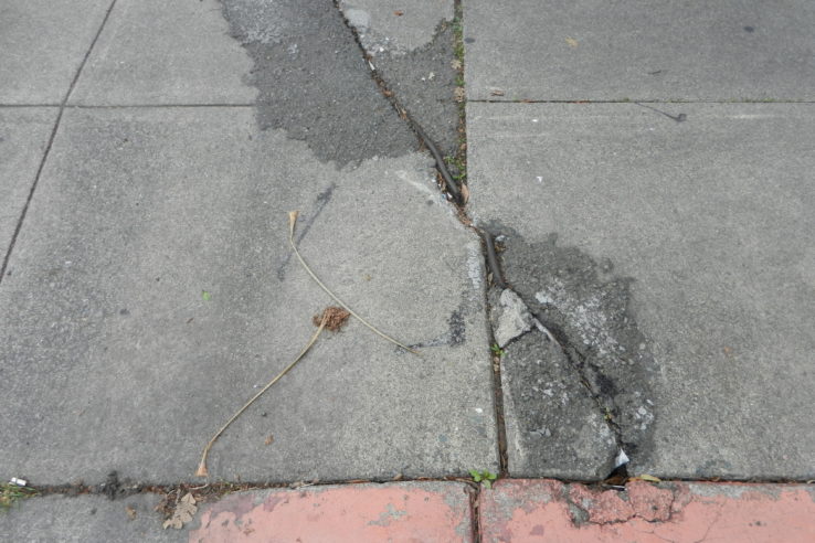 Downtown Santa Rosa Sidewalk Repairs